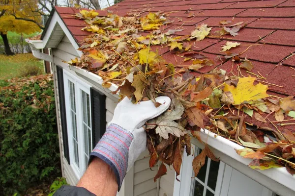 Gloved hand pulling packed autumn leaves out of a home gutter